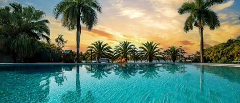 A clear swimming pool with palm trees and a sunset in the background.