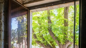 A cozy room with two plush armchairs, a small round table, and a large window offering a view of a tree.