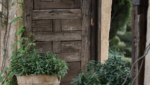 A rustic wooden door with a textured surface, flanked by two large, weathered planters with green foliage.