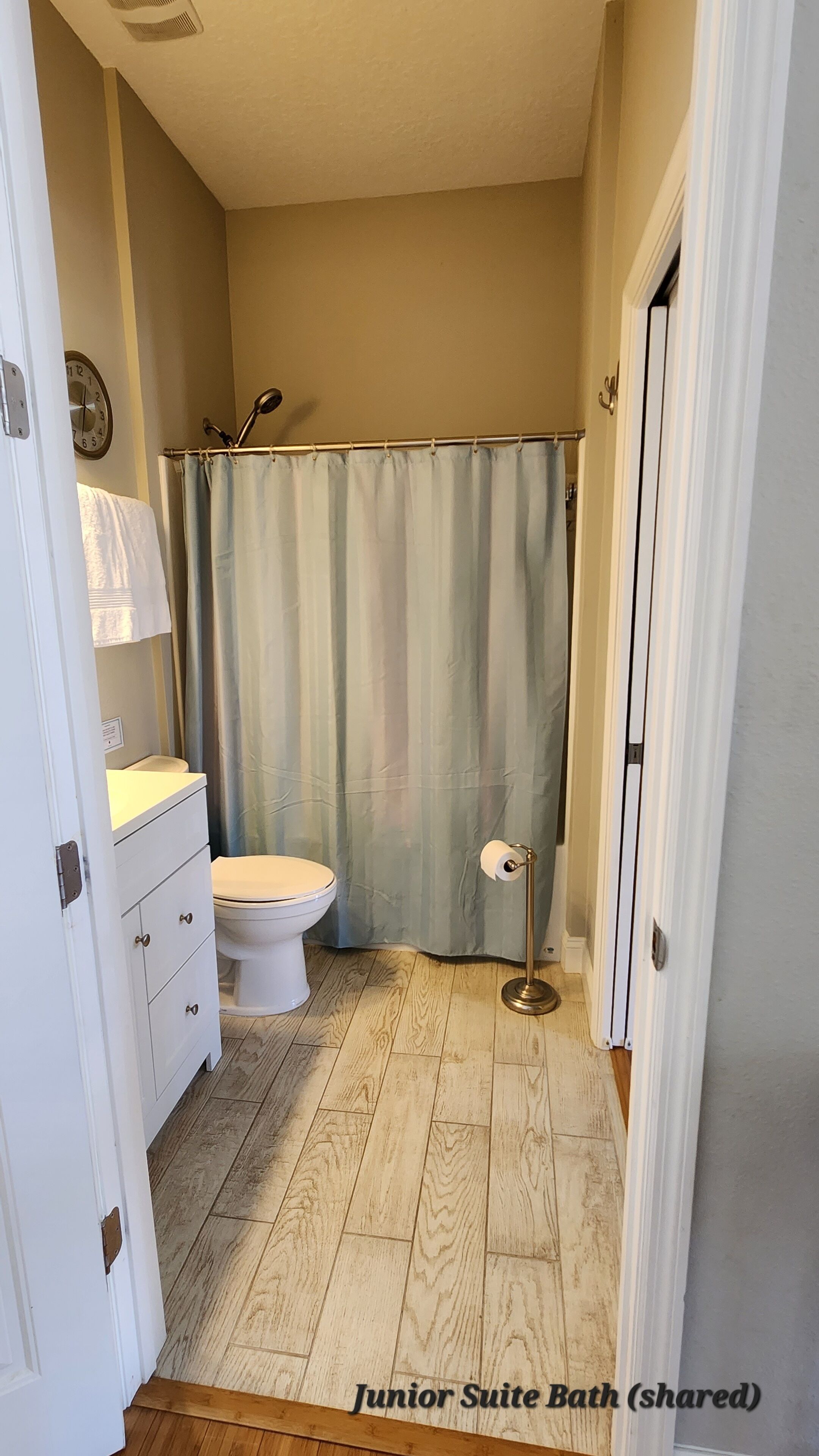 A bathroom with a toilet, a sink, a mirror, and a shower curtain.