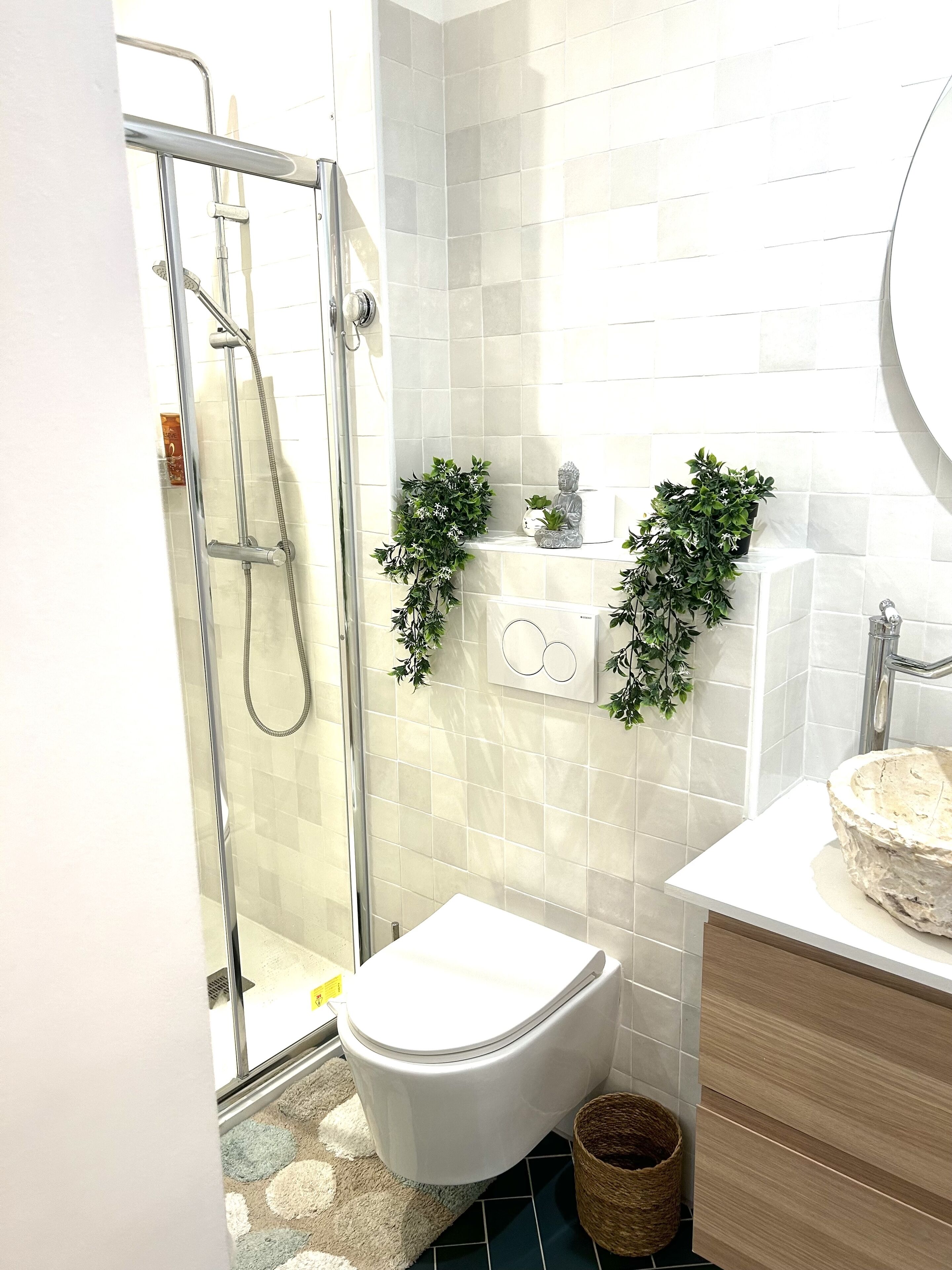 Douche, articles de toilette gratuits, sèche-cheveux, bidet