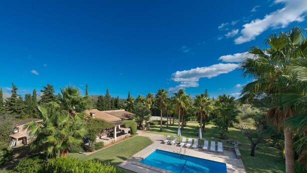 Un espace piscine avec des chaises longues et un petit bâtiment, le tout entouré de palmiers et de verdure.