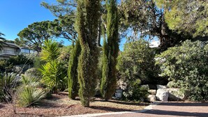 Un jardin aménagé avec différents arbres, un sentier en pierre et un bâtiment en arrière-plan.