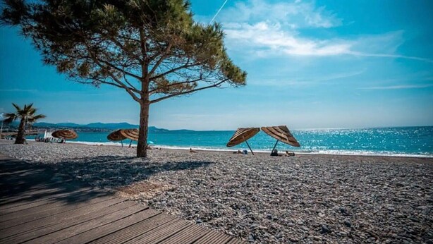 Une plage avec une terrasse en bois, des parasols et un arbre.