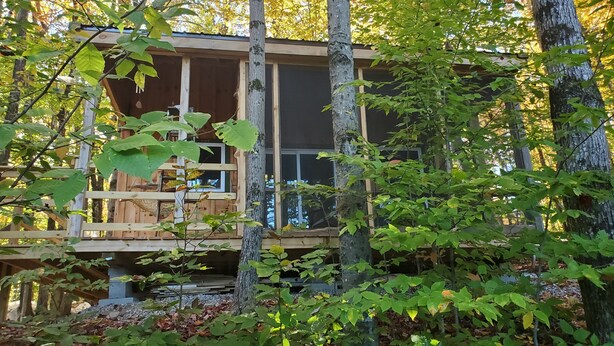Eine Holzhütte mit einer Holzterrasse, umgeben von Bäumen und Pflanzen.