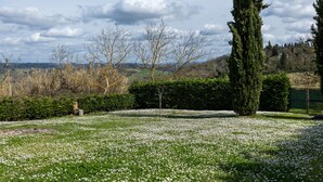 Paisatge amb una zona verda, arbres i un bord.