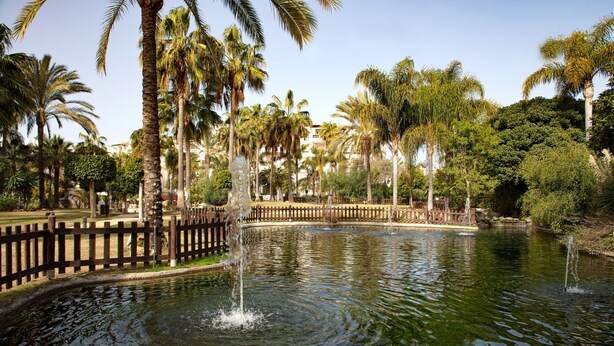 A tranquil pond with a wooden fence, surrounded by palm trees and a clear sky. - Apartment Costalita with Sea View, Terrace, Shared Pool & Wi-Fi (Estepona)