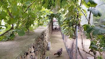 Àrea exterior de l'allotjament