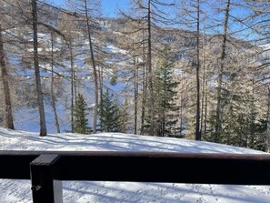 A snowy landscape with a wooden railing, trees, and a clear sky. - 150m from ski slopes, 1st floor, view mountain, balcony, tv, ski locker, 21m², Risoul (Risoul)