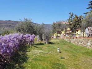 Property grounds - Apartment 'La Tavernetta' with Shared Pool, Private Terrace and Wi-Fi (Castelfranco Piandiscò)