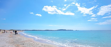 Playa en los alrededores