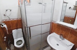 Shower, hair dryer, bidet, towels