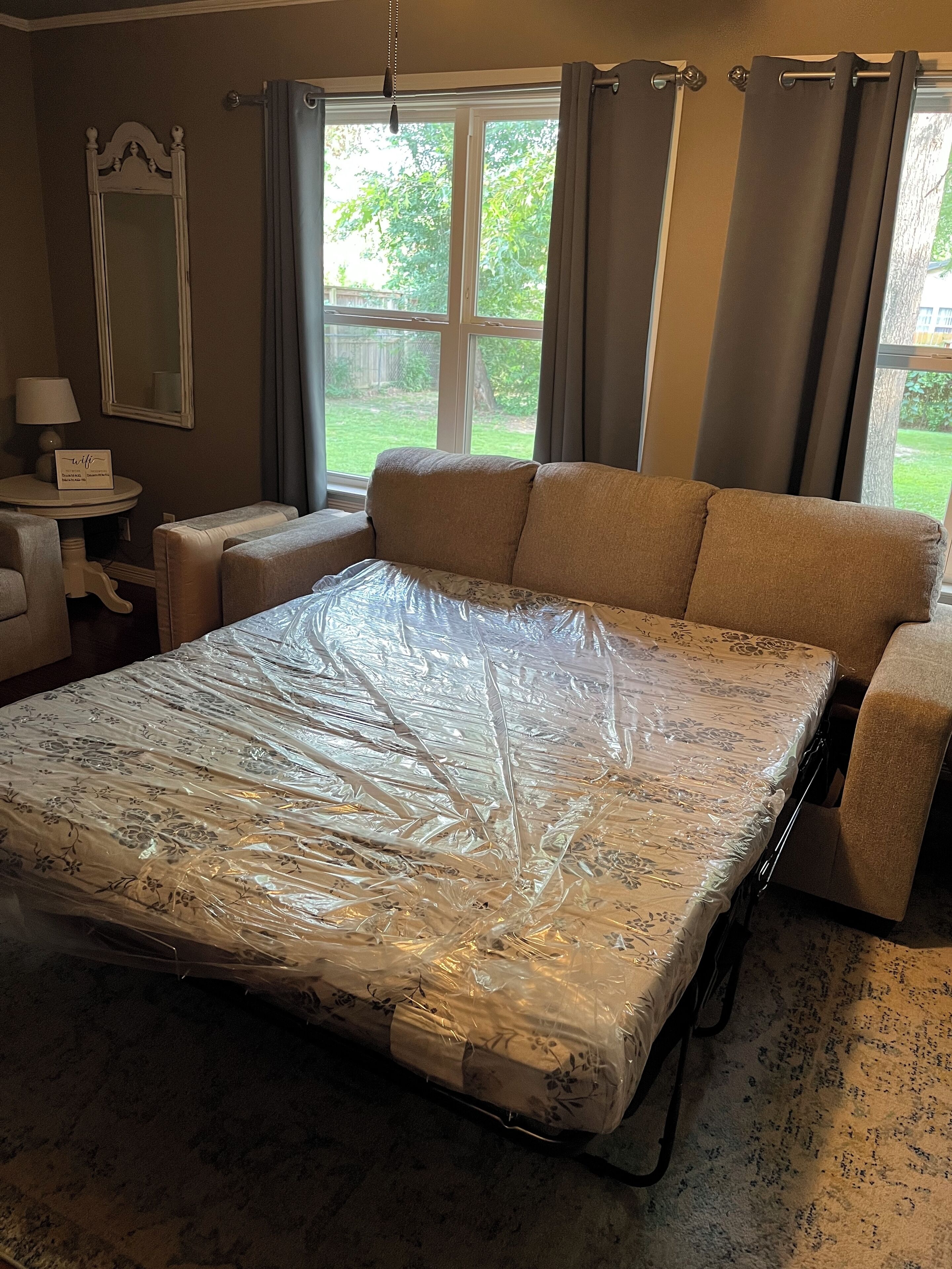 Pull out couch in living room 