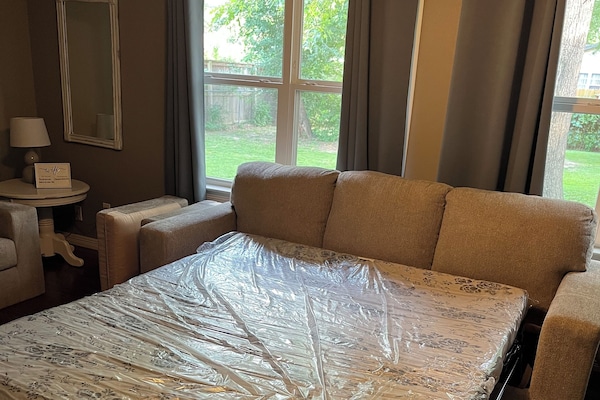 Pull out couch in living room