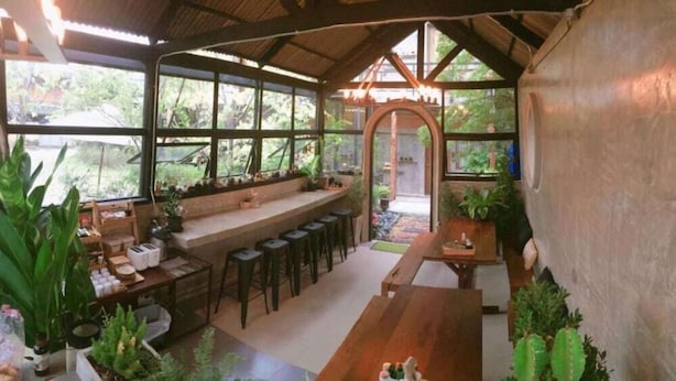 A cozy, open-plan kitchen and dining area with large windows, a wooden bench, and various plants. - The Wishes Hotel At Chiangmai Chiang Mai (Chiang Mai)