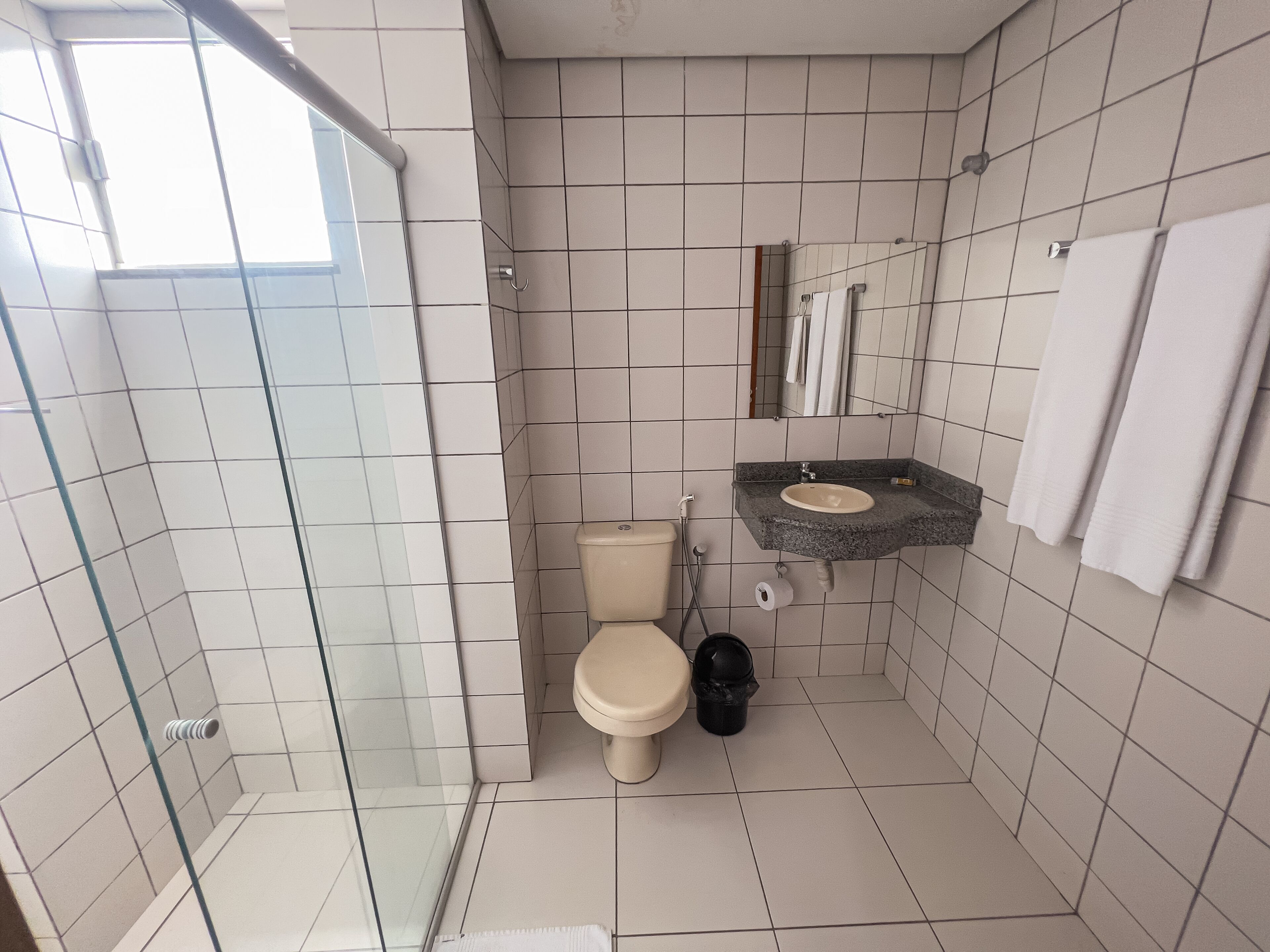 A bathroom with a glass shower enclosure, a toilet, a sink with a mirror above it, and a towel rack.