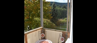 Apartment Oberwiesenthal OG