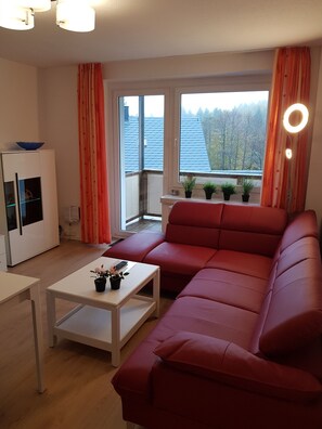Fernseher