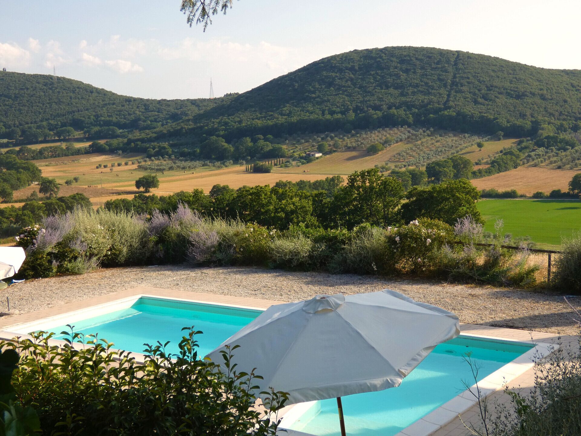 Ein Pool mit einem weißen Sonnenschirm, umgeben von Grünpflanzen und Hügeln im Hintergrund.