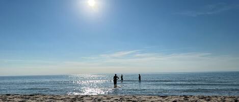 Serviettes de plage