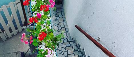 Área da propriedade