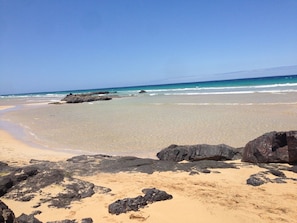 Lettini da mare
