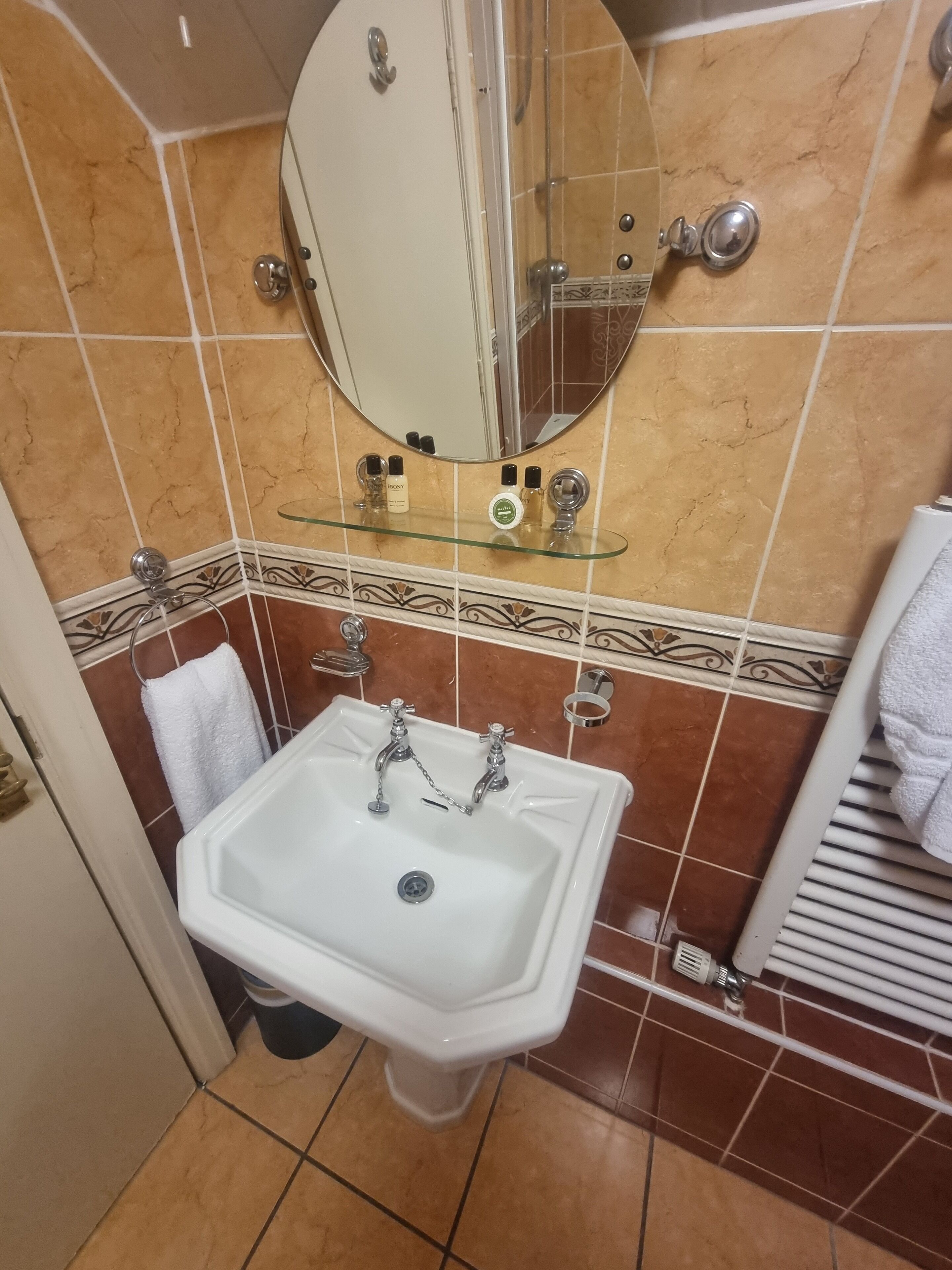 A bathroom with a white sink, a mirror, and a glass shelf with toiletries.