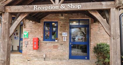 The Bike Shed
