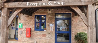 The Bike Shed