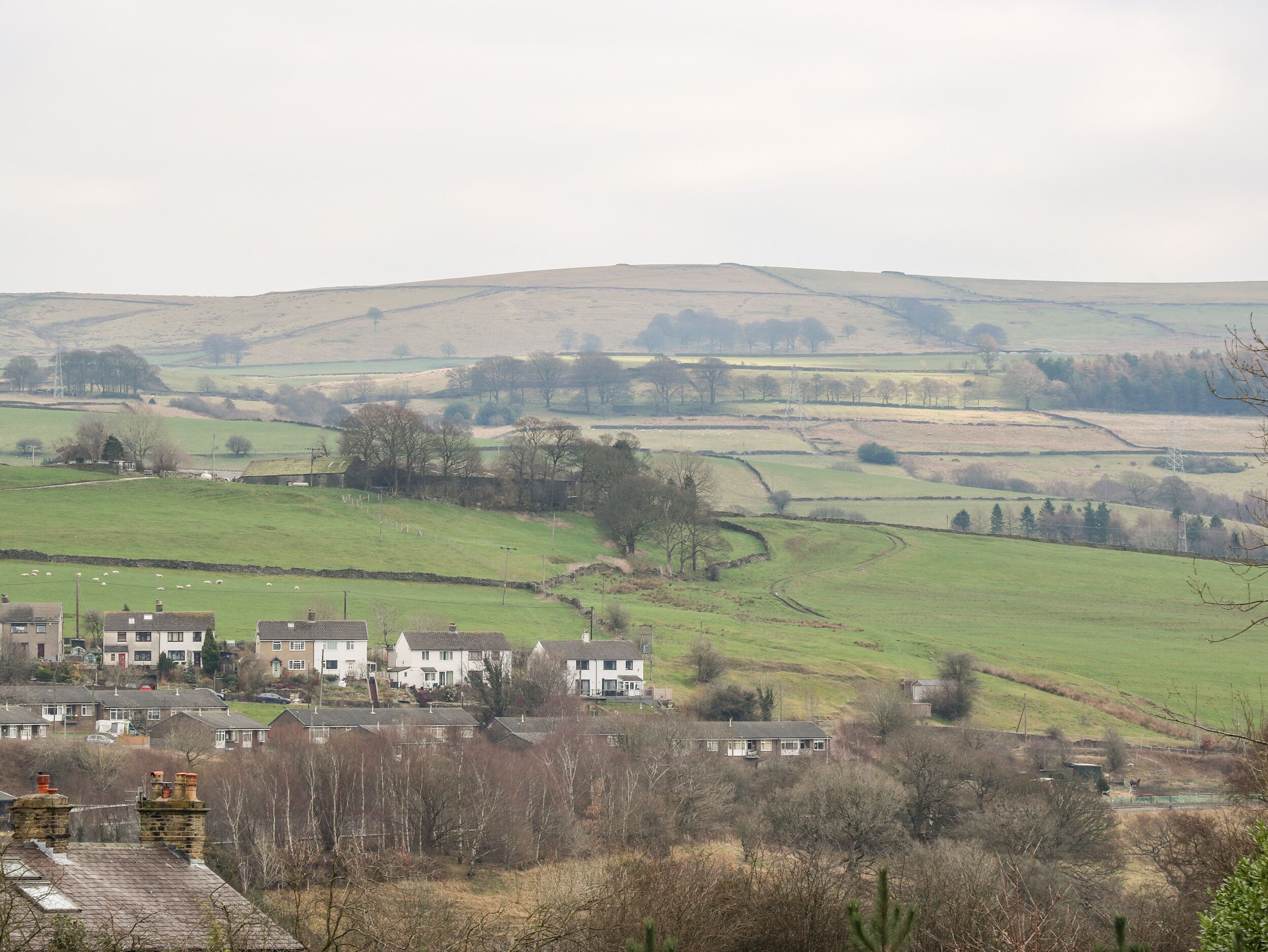 Un paysage rural avec des maisons et des champs.