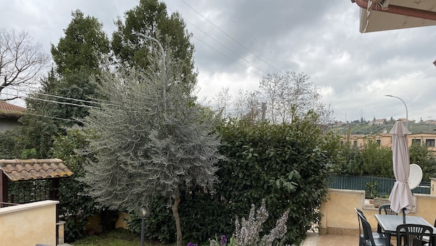 Un patio con tavolo e sedie, circondato da vegetazione e una vista su edifici in lontananza.