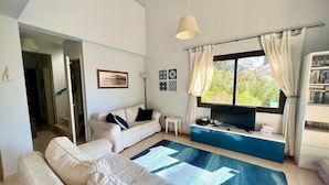 Un salon avec un canapé, un téléviseur, un tapis bleu et une fenêtre avec des rideaux.