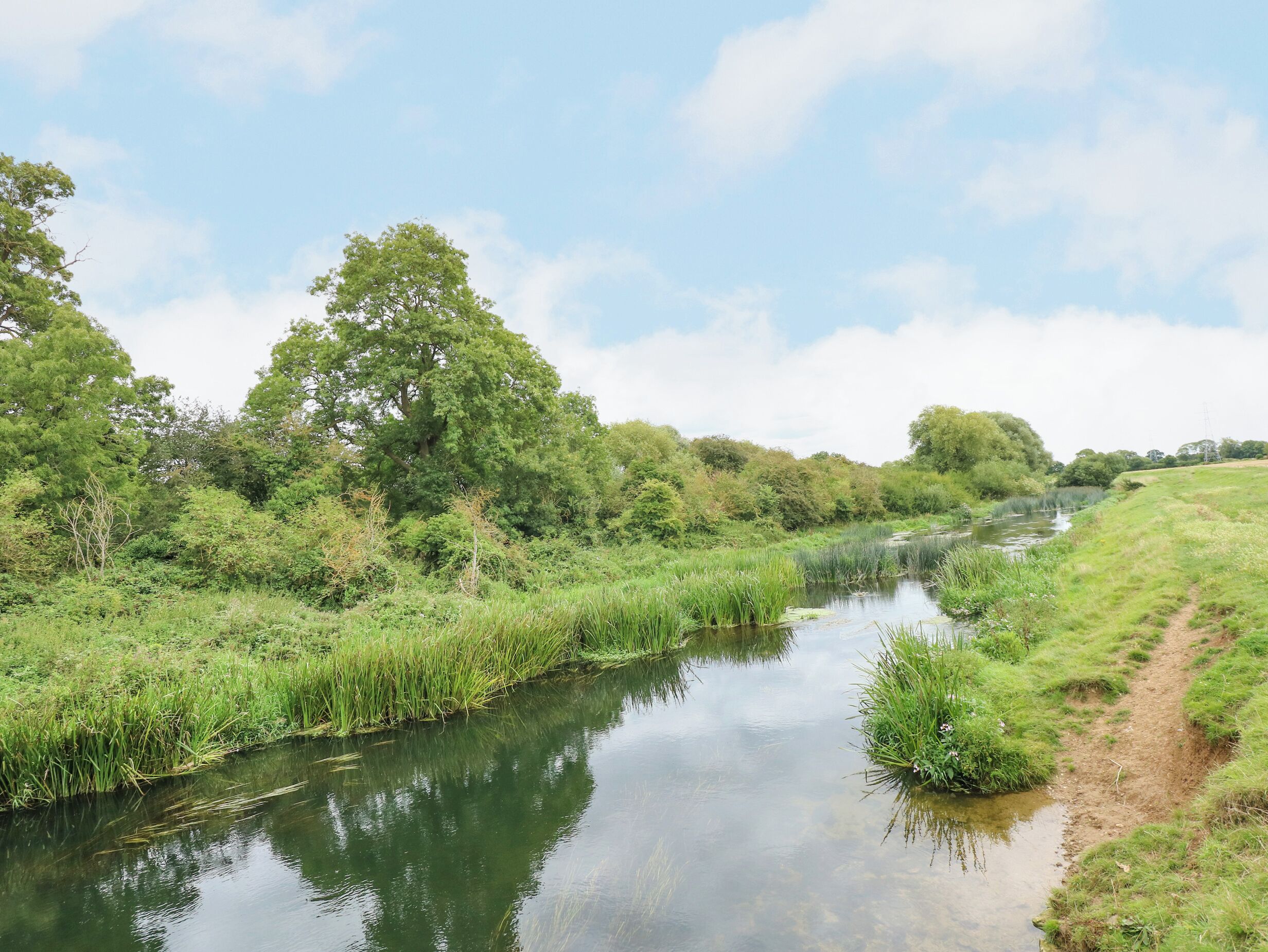 Ein ruhiger Fluss mit üppigem Grün und Bäumen entlang des Ufers.