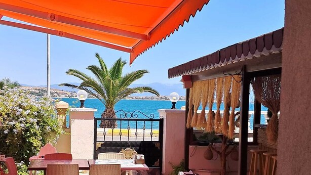 Un área exterior con mesas y sillas, vista al mar y una palmera.