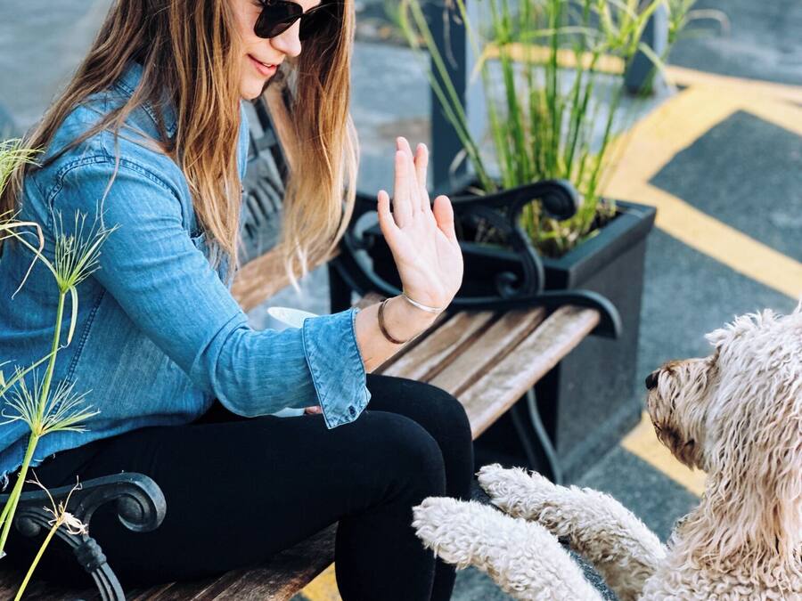 A person sitting on a bench with a dog.