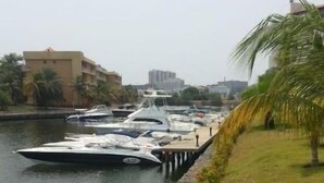 Uma marina com vários barcos atracados, uma área gramada com uma palmeira e edifícios ao fundo.