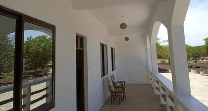 Dacha Diani Paradise 3