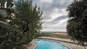 Piscina con borde de piedra, rodeada de cactus y olivos, con vistas a colinas distantes.