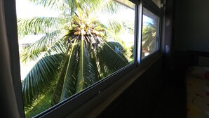 Una ventana con vista a una palmera y un edificio.