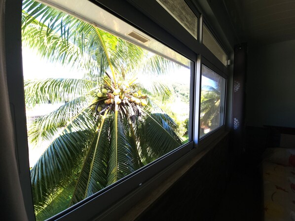 A window with a view of a palm tree and a building.