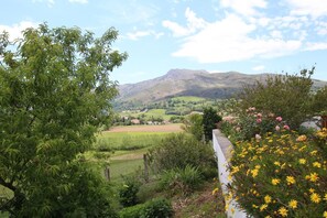 A rural landscape with a mountain in the background, a field, and a fence with flowers. - Zamatelua 1 - Sare - Gîte (SARE)