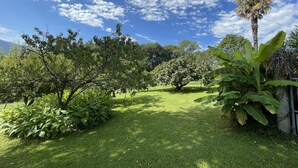 A lush garden with various trees and a clear blue sky. - GITE DU BOSC - LYS - Gîte (LYS)