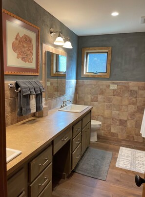 A modern bathroom with a large sink, vanity, and a window. - Crested Butte Home | 4 Bedroom | Hot Tub | Walk to Elk | Gas Grill |Pet-Friendly (Crested Butte)