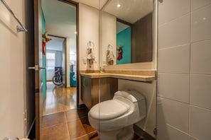 Hair dryer, soap, shampoo, toilet paper