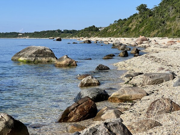 A rocky beach with clear water and a forested hillside in the background.