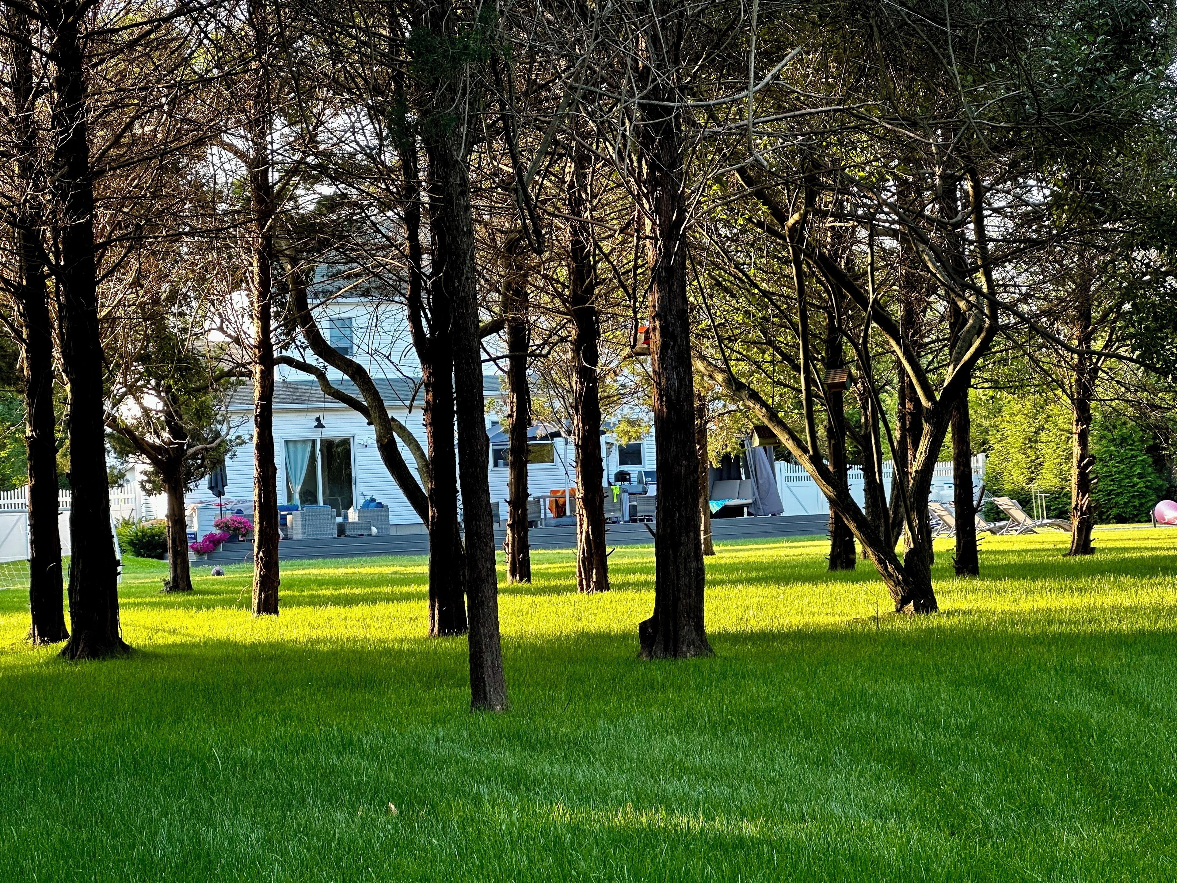 A park with trees and a white building in the background.