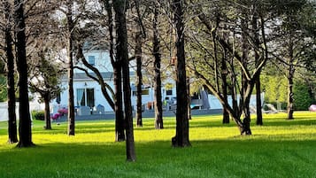 A park with trees and a white building in the background.