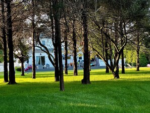 A park with trees and a white building in the background.