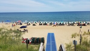 A beach with rows of beach umbrellas and lounge chairs. - Outer Banks Beach Club II - 1BR/1BA - Great Pools! (Kill Devil Hills)
