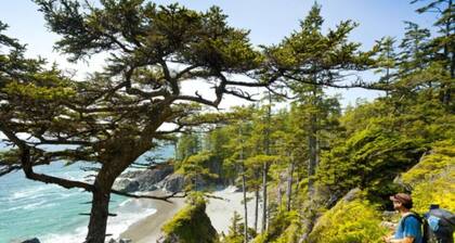 Seagull Studio Vacation Suite